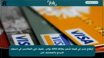 ارتفاع جديد في قيمة شحن بطاقة 2000 دولار.. تعرف على المكاسب في أسعار الإيداع بالمصارف الآن